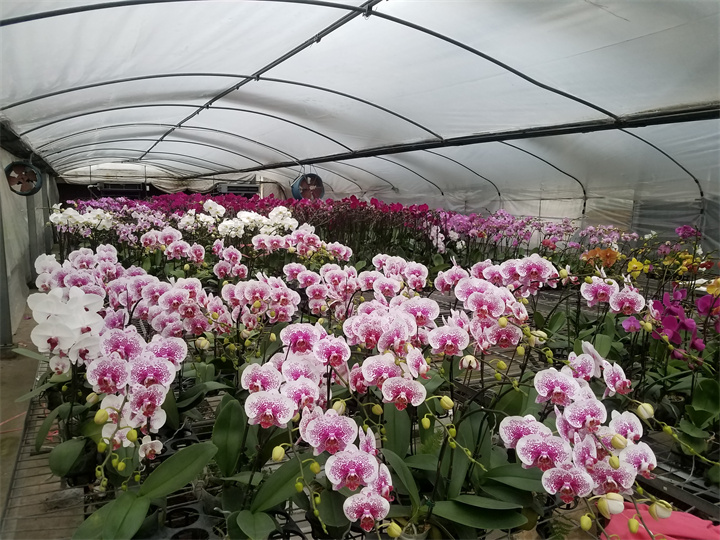 上海九菱蘭業水源熱泵加溫項目