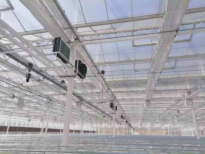 青島中荷智慧農業