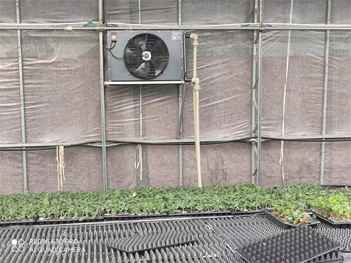 涼山州三才農業育苗基地